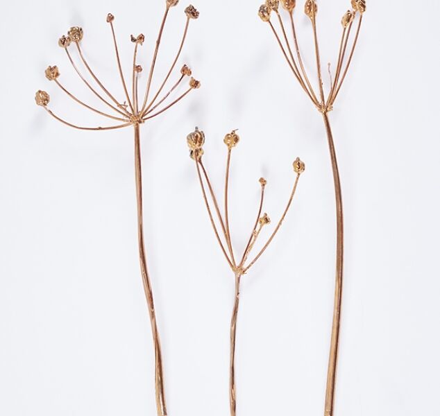 Constellation Flowers in Copper by Jocelyn Marsh